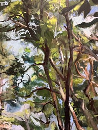 Image 3 of Cathedral