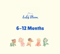 6-12 Months Mystery Scoop