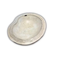 Bird Bath - Aggregate