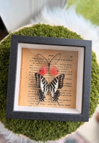 Image 4 of Wings & Words 