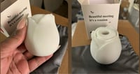 Image 2 of Rose Toy