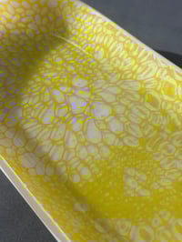 Image 4 of Large Ooid Plate