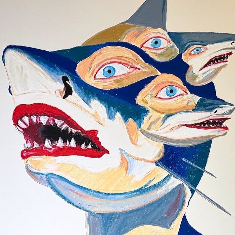 Image of Shark Attack