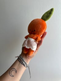 Image 2 of Cutie Mandarin Baby