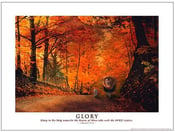 Image of "Glory" Lion and Lamb Poster