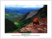 Image of "Majesty" Lion and Lamb Poster