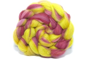 Image of Polwarth, & Blue Faced Leicester, Hand Pulled Top / Roving - Sherbet (2.05 oz / 58 gm)