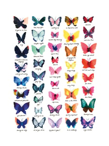 Image of Butterfly collection