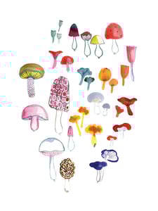 Image of Mushrooms