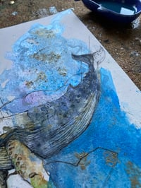 Image 5 of Baleine Encre 