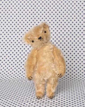 Image of MAXWELL THE LITTLE BEAR