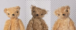 Image of MAXWELL THE LITTLE BEAR