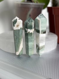 Moss Agate DT points 