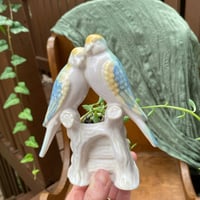 Image 1 of String of Dolphins in Small Parakeet Pot