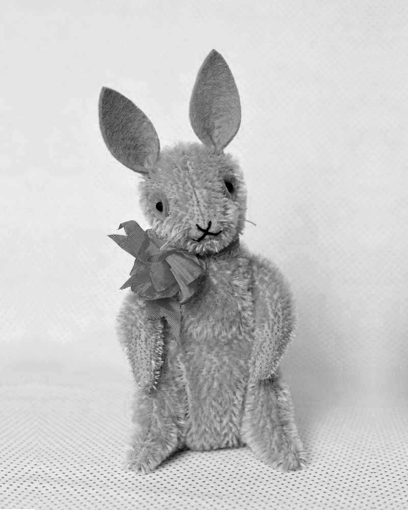 Image of ERNEST THE RABBIT