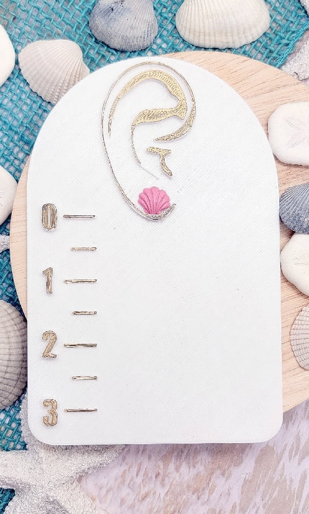 Image of Shoreline Shell Studs 