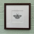 Image 1 of £50 originals - Emperor moth, pointillism
