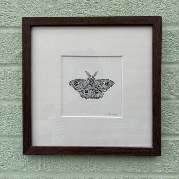 Image of £50 originals - Emperor moth, pointillism
