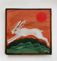 White Hare