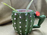 Image 1 of Spider Plant in Cactus Mug