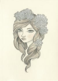 Image 2 of Queen Anne's Lace