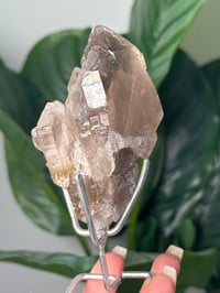 Image 2 of  SMOKEY RUTILE IN QUARTZ CLUSTER ON STAND F
