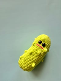 Image 1 of Emotional Support Pickle