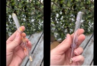 Image 4 of Pet Whisker Banks - May 7th Update!