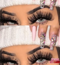 Image 1 of Aloe Vera 