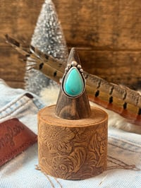 Image 1 of The Desert Star