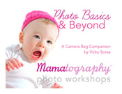 Image of Photo Basics & Beyond: Camera Bag Companion **ebook**