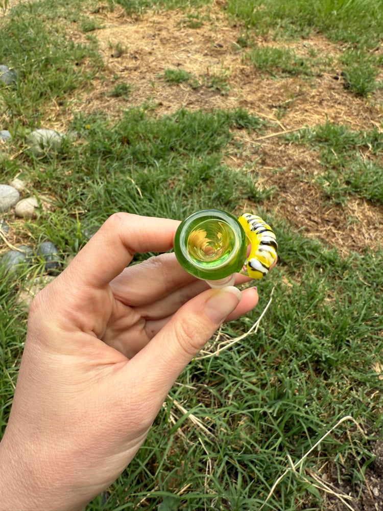 Image of Monarch Caterpillar 14mm Slide