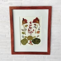 Image 2 of Genuine Nasturtium, Obsession Nandina, Catmint And Mum Leaves In 8" X 10" Frame (Item# 2021168)