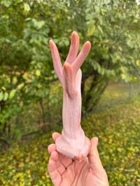 Image 3 of Jazz Hands 