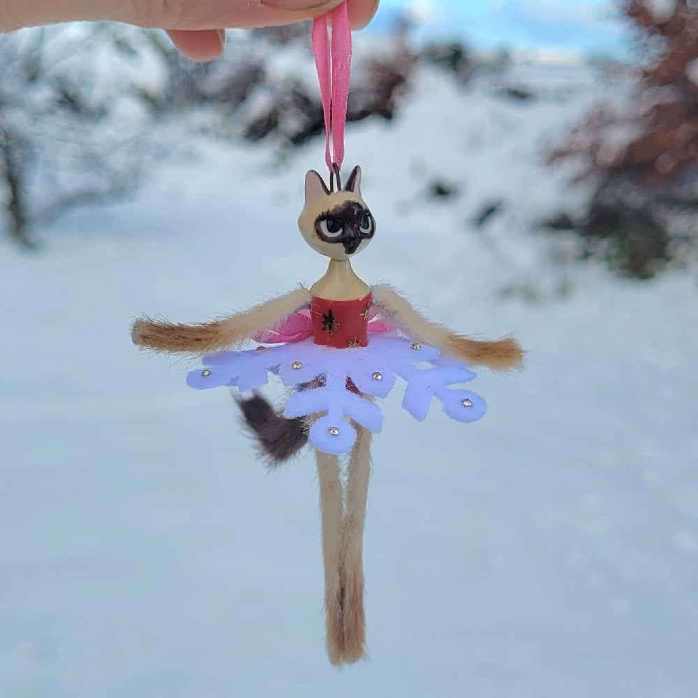 Image of Siamese Snowflake Kitten