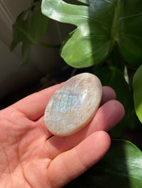 Image 3 of Moonstone Palm Crystal (11)