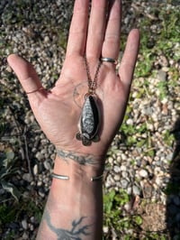 Image 3 of Orthoceras necklace 