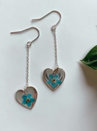 Image 1 of Forget Me Not Silver Dangles 