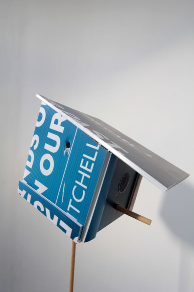 Image of For the Birds Áras an Uachtaráin