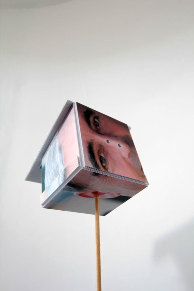 Image of For the Birds Áras an Uachtaráin