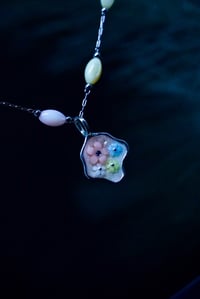 Image 1 of Metamorfosi Floreale 