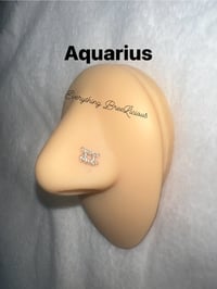 Image 4 of Zodiac Signs Nose Studs