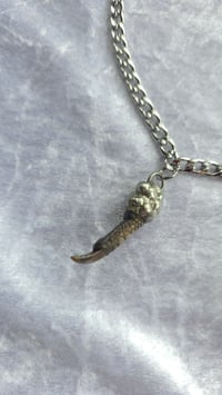 Image 3 of 3 Pheasant toe necklace