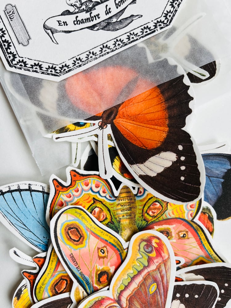 Image of 20 PAPILLONS