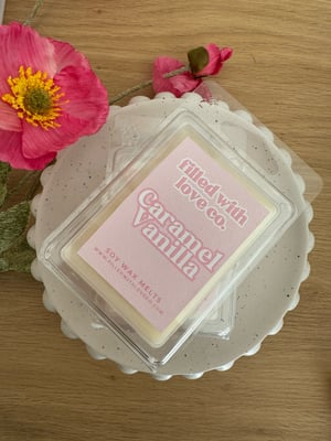 Image of WAX MELTS