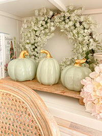 Image 1 of SALE! Sage Ceramic Pumpkins ( Set or Singles )