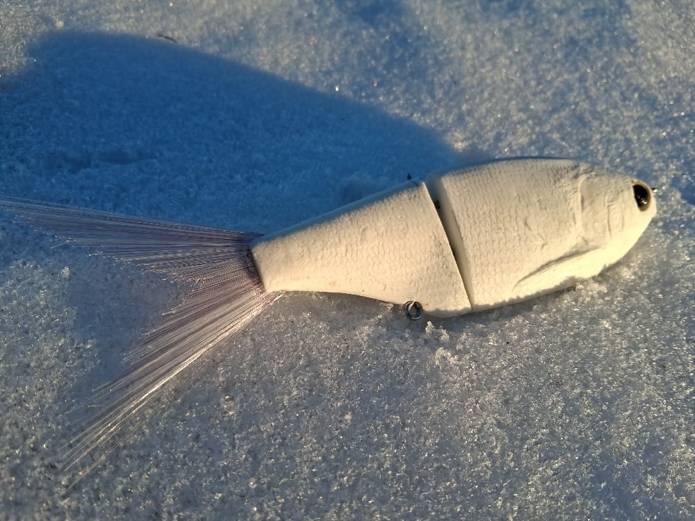 Image of Snack Shad blank