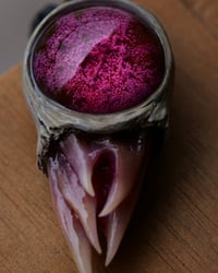 Image 14 of Magenta Bloom Snaggletooth Pendant OOAK