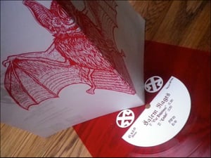 Image of SALEM RAGES 'OUR HALLOWEEN' FLEXI DISC CR #001.5