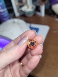 Spider Plugs